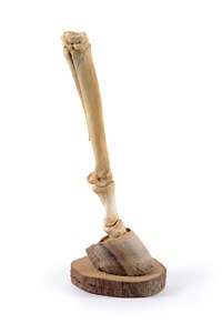 Image description is not available for 2014.3.4